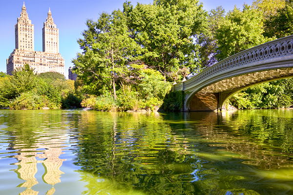 il polmone verde di New York, con luoghi iconici come Strawberry Fields, The Lake, Bethesda Fountain, il Castello e Sheep Meadow.