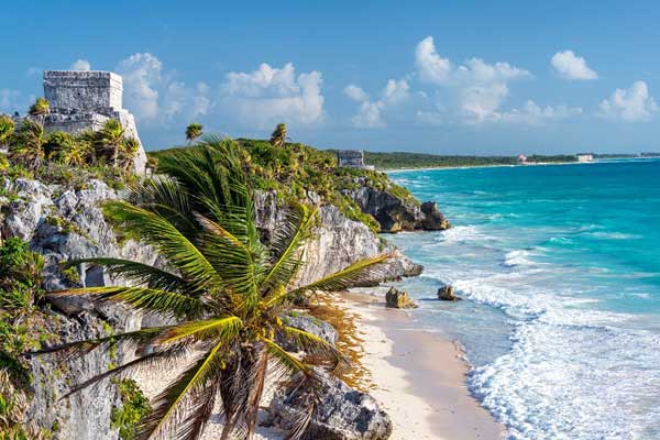 Scopri le escursione del programma a Playa del Carmen: nuota con tartarughe maroine, visita il museo 3D, giornate in spiaggia o in piscine naturali e tanto altro ti aspetta