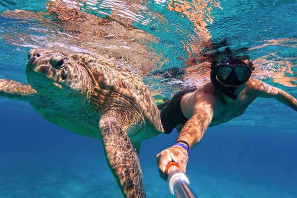 Scopri le escursione del programma a Playa del Carmen: nuota con tartarughe maroine, visita il museo 3D, giornate in spiaggia o in piscine naturali e tanto altro ti aspetta